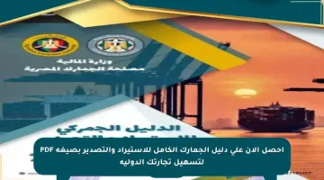 احصل الآن على دليل الجمارك الكامل للاستيراد والتصدير بصيغة PDF لتسهيل تجارتك الدولية